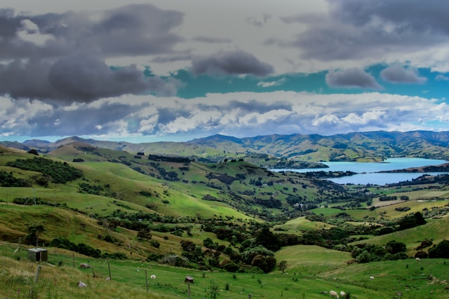 Green hills overlooking Akaroa Harbour in New Zealand