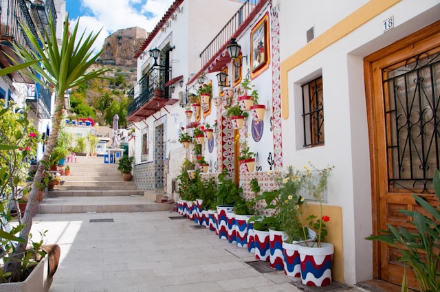 Colorful old town street in Alicante, Spain with potted plants and white houses