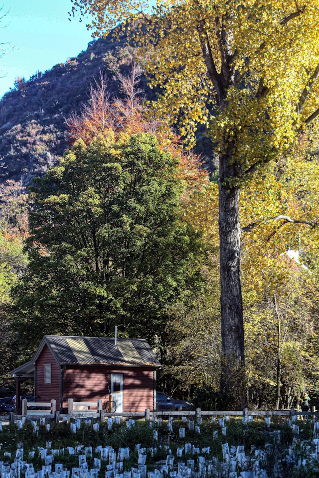 Small red cabin surrounded by autumn trees near Arrowtown
