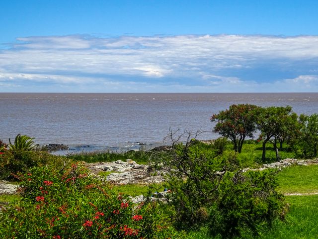 Green coastal landscape with flowering shrubs and trees overlooking the Río de la Plata in Colonia del Sacramento