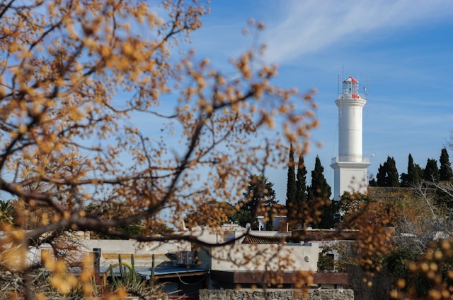 White colonial-era lighthouse rising above trees in Colonia del Sacramento
