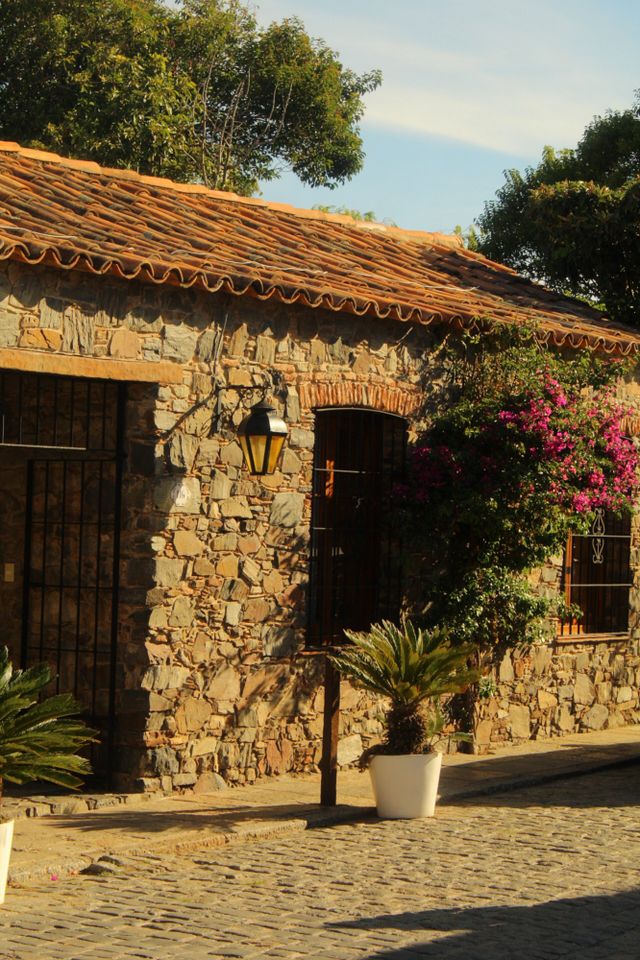Colonial stone building with terracotta tile roof, iron-barred windows, and street lantern beside pink bougainvillea in Colonia del Sacramento