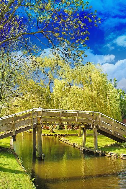 Wooden footbridge crossing a canal in Giethoorn Netherlands