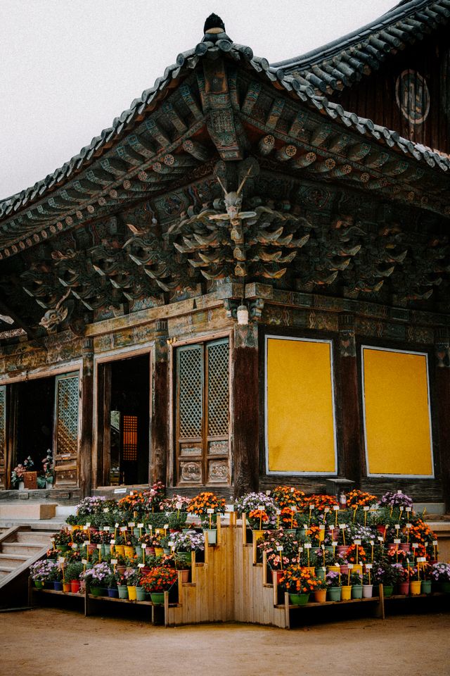 Traditional wooden hall at Bulguksa Temple in Gyeongju South Korea