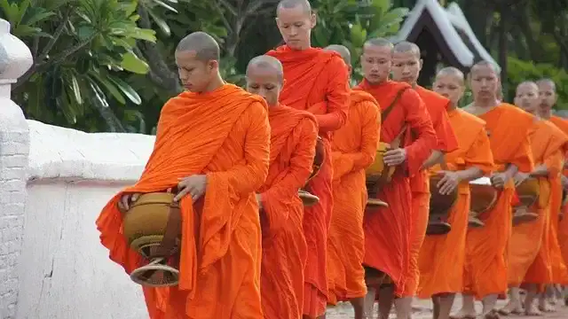 Buddhist monks receiving alms during the Tak Bat ceremony in Luang Prabang