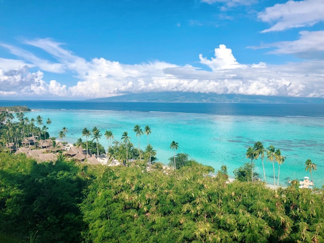 Turquoise lagoon and palm trees in Moorea, French Polynesia — a breathtaking Oceania travel destination