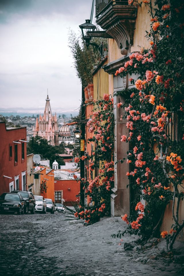Flower-covered street wall in San Miguel de Allende