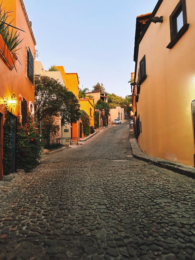 Narrow cobblestone alleyway in San Miguel de Allende