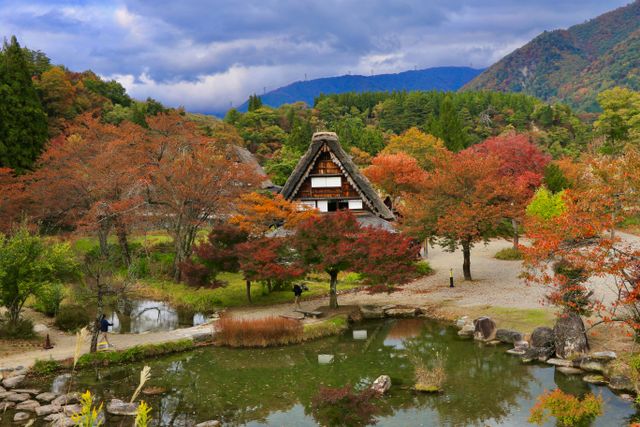 Traditional gassho-zukuri house surrounded by autumn foliage in Shirakawa-go Japan