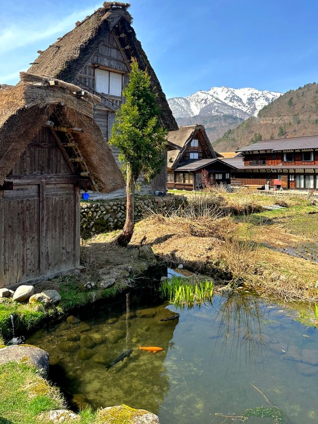 Pond and traditional houses in Shirakawa-go Japan