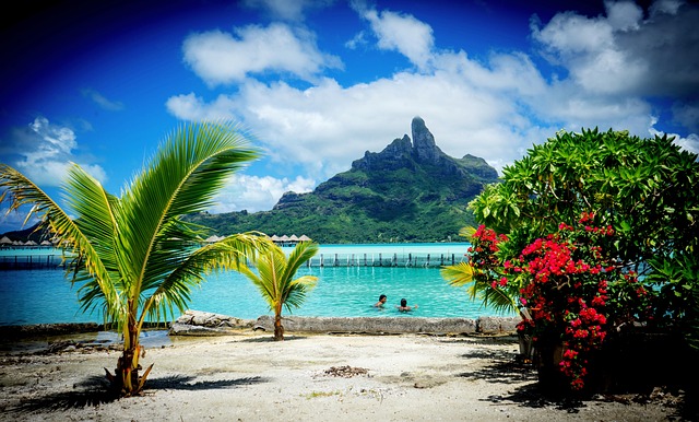 Palm fronds and red tropical flowers framing a turquoise lagoon with swimmers in Bora Bora French Polynesia