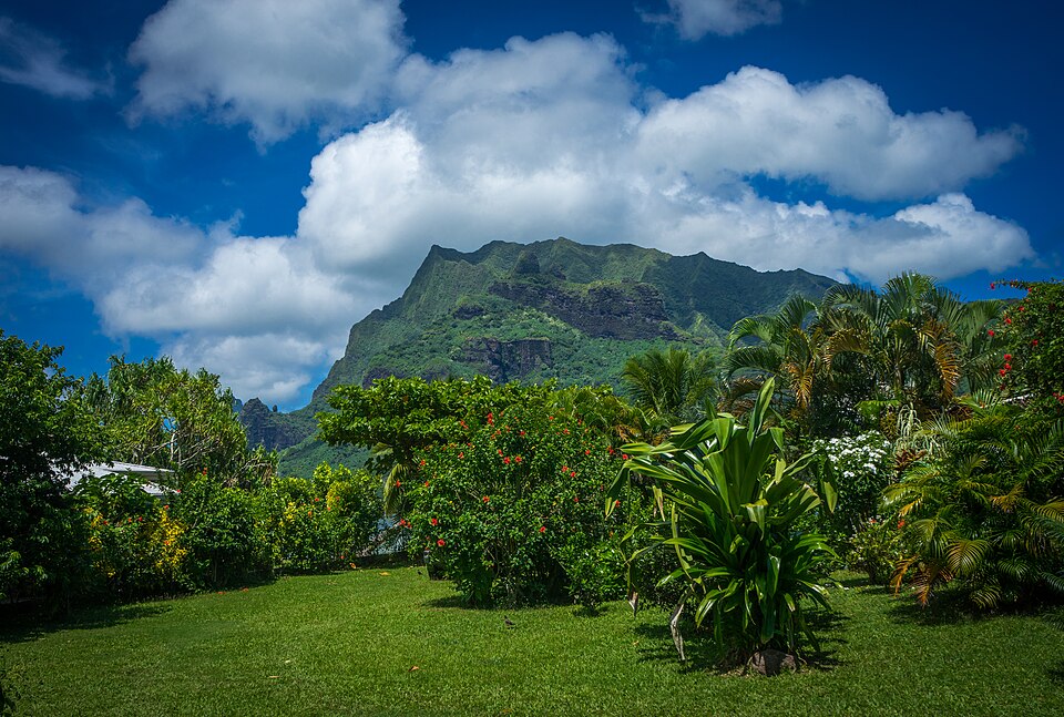 A tropical garden lawn with flowering shrubs beneath a green mountain peak