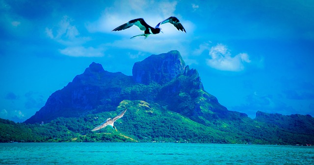 A seabird flying above a jagged green peak against a deep blue sky