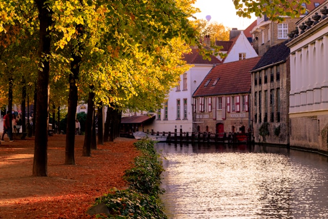 Canal lined with autumn trees and reflections of canal houses