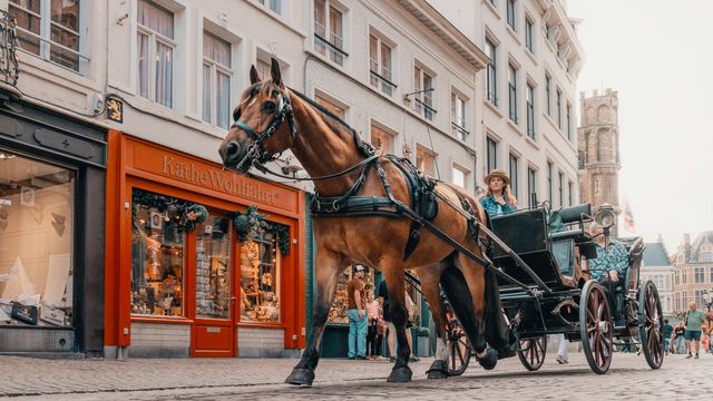 Horse drawn carriage passing a shop on a street