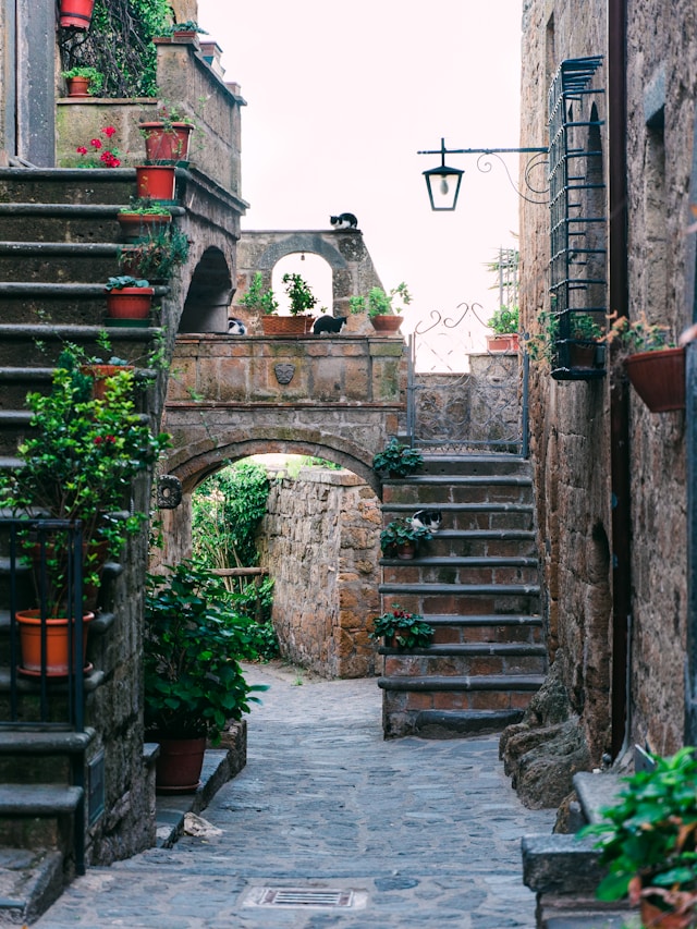 A narrow stone alley with staircases, potted plants, and cats in Civita di Bagnoregio Italy