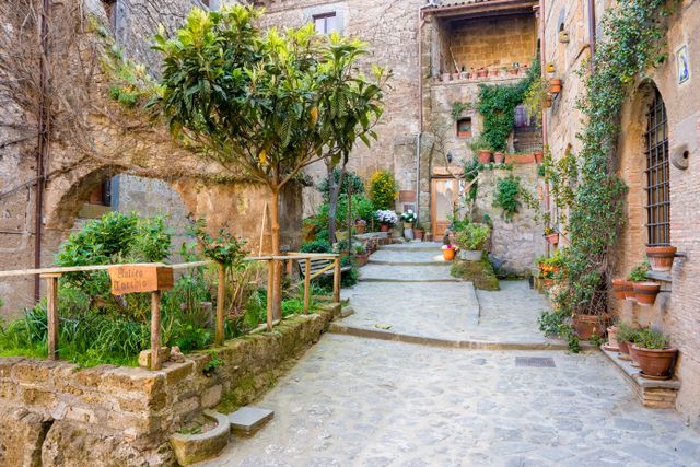 A cobblestone courtyard with a lemon tree and a wooden sign