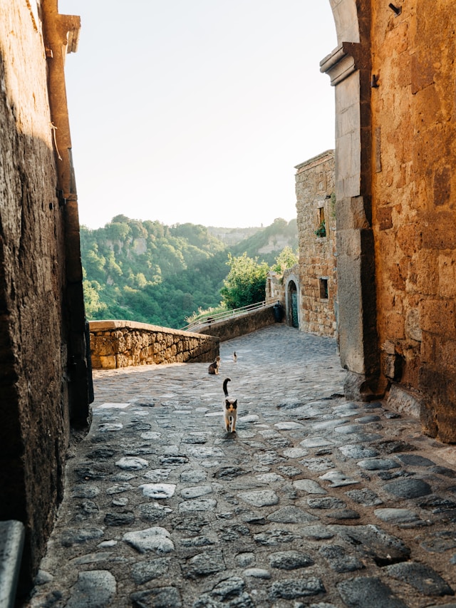 Cats walking down a cobblestone alley toward a green valley view