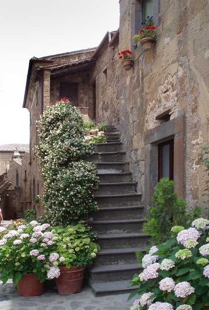 A stone staircase framed by blooming hydrangeas and climbing vines