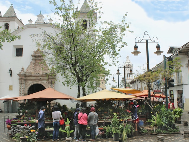 Vendors and shoppers browsing potted plants at an outdoor flower market