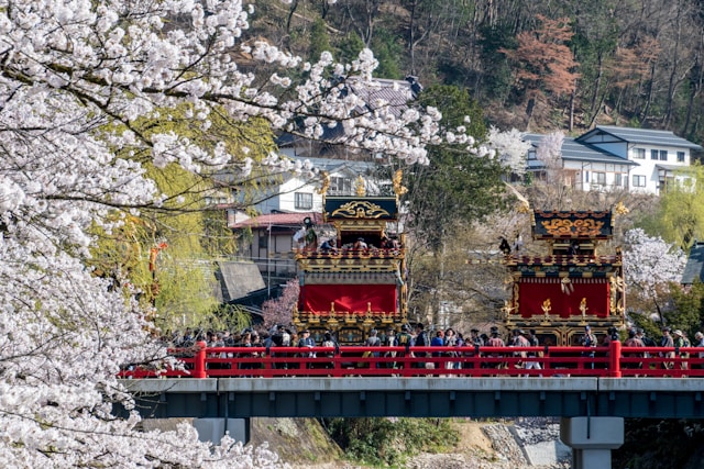 Ornate festival floats crossing a red bridge in Takayama framed by cherry blossoms