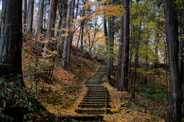 Wooden staircase winding through an autumn forest near Takayama