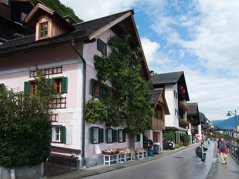 A pear tree espaliered against a pink house along Hallstatt's lakeside promenade