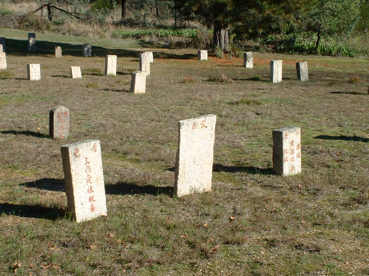 Rows of old Chinese graves in the town cemetery