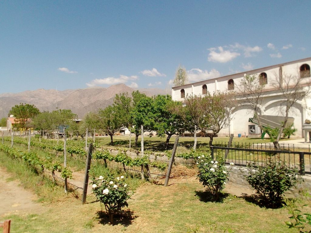 Cafayate Argentina vineyard and historic bodega with mountains behind
