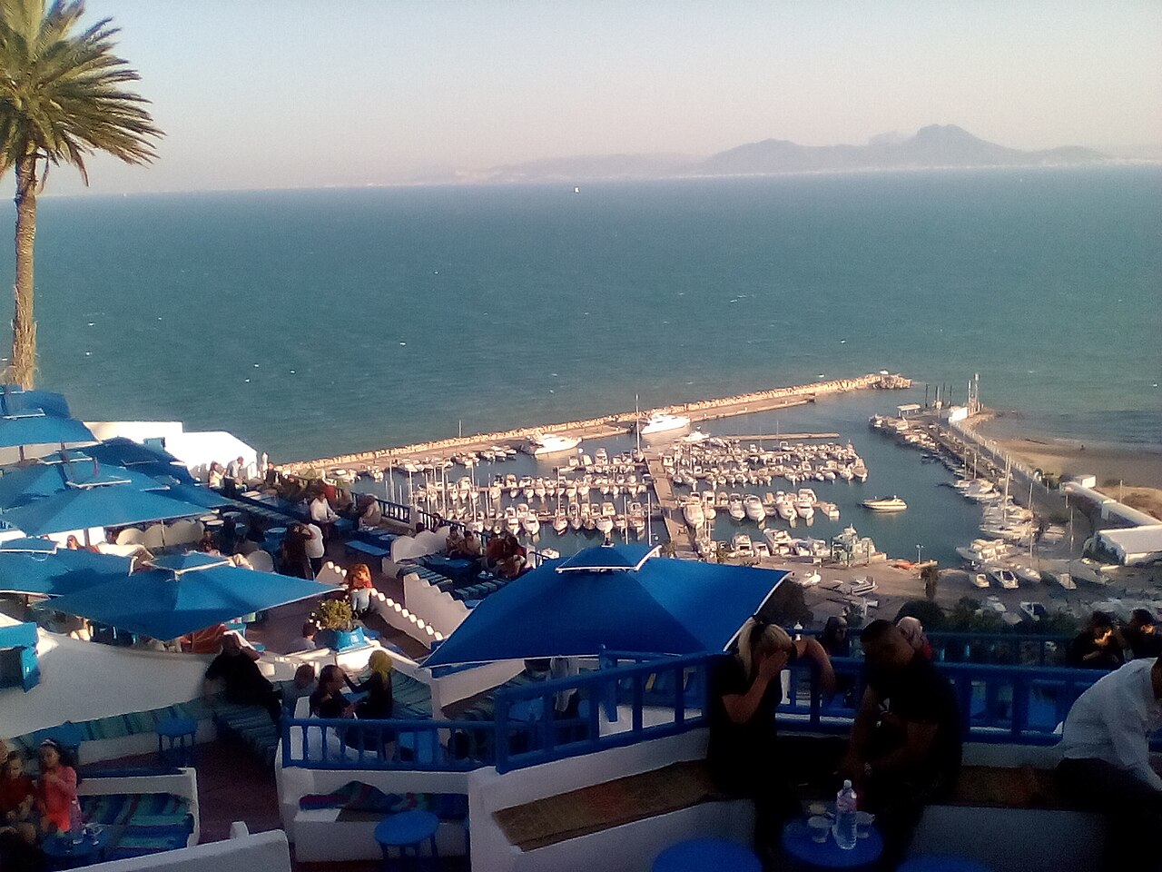 Sidi Bou Said Tunisia: The Complete Guide to the Blue and White Cliff Village