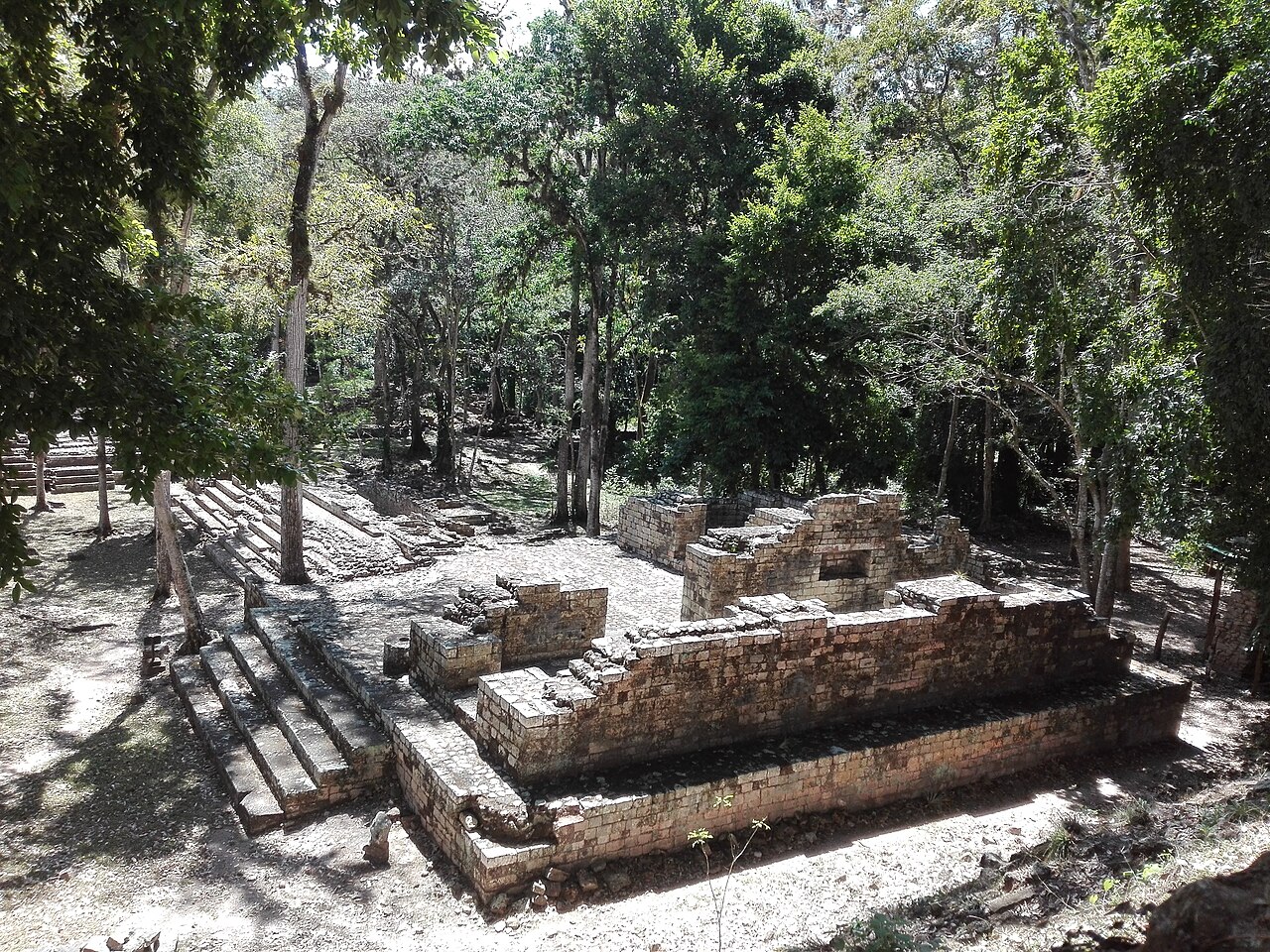 Stone Maya temple platforms among forest trees at Copan Ruinas