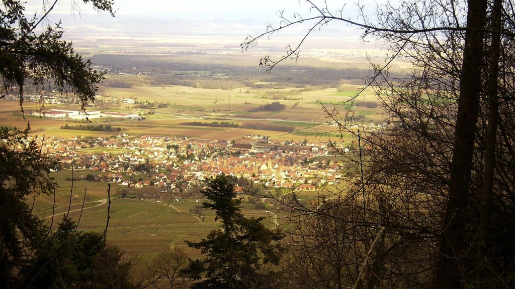 View over the vineyards and the Alsace plain from the hills above Eguisheim