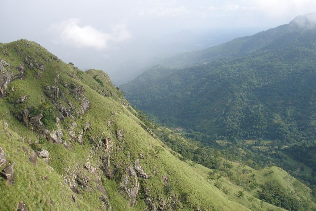 View down the green Ella Gap valley