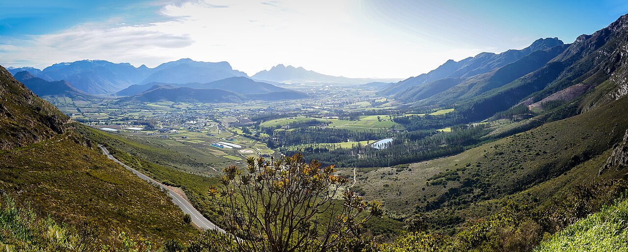Vineyards spreading across a wide green valley