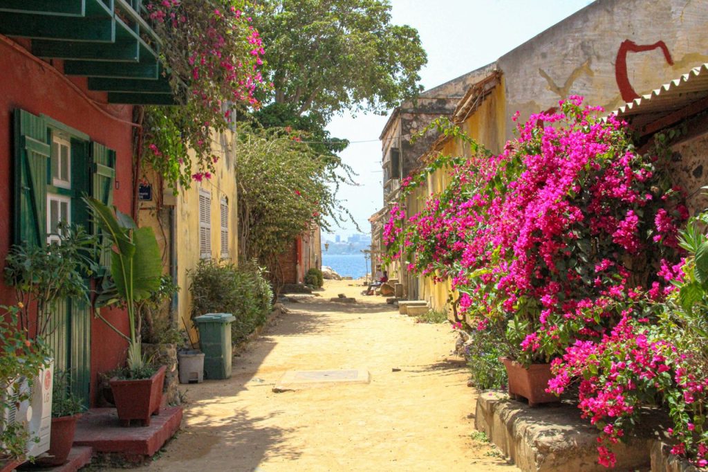 Sandy lane with bougainvillea and colorful colonial houses