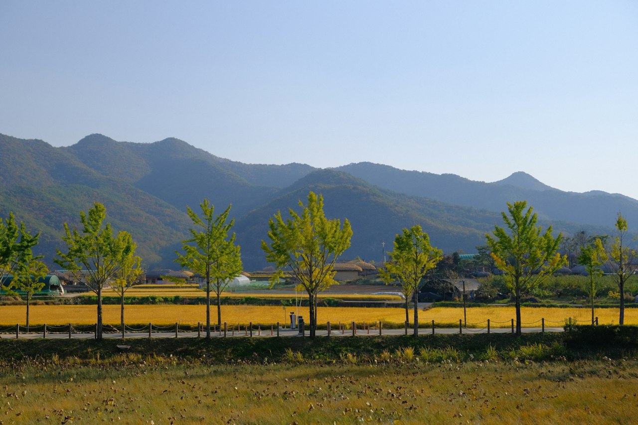 Grassy field with trees and mountains in the background