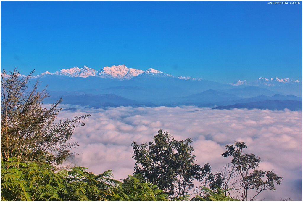 Snowy Himalayan peaks rising above a sea of clouds from Bandipur