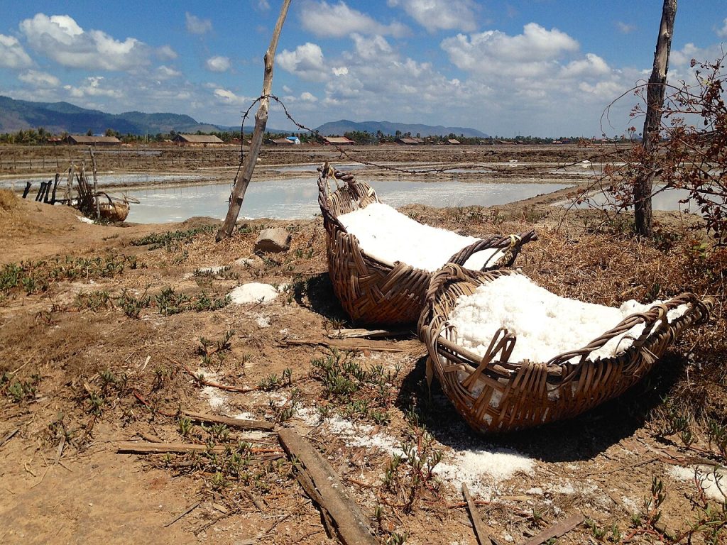 Baskets of freshly harvested sea salt