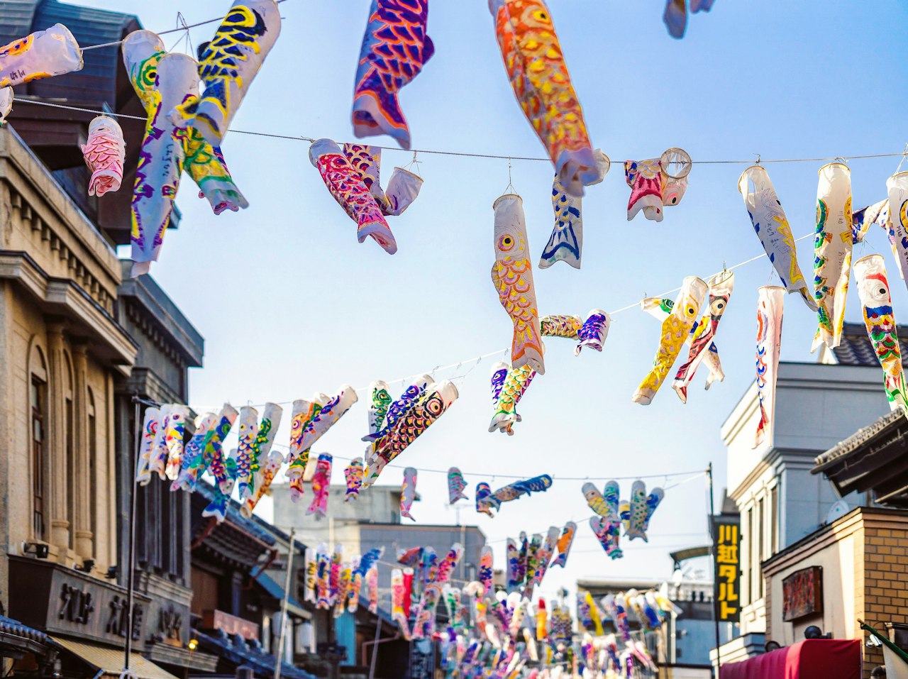 Colorful carp streamers flying in the wind