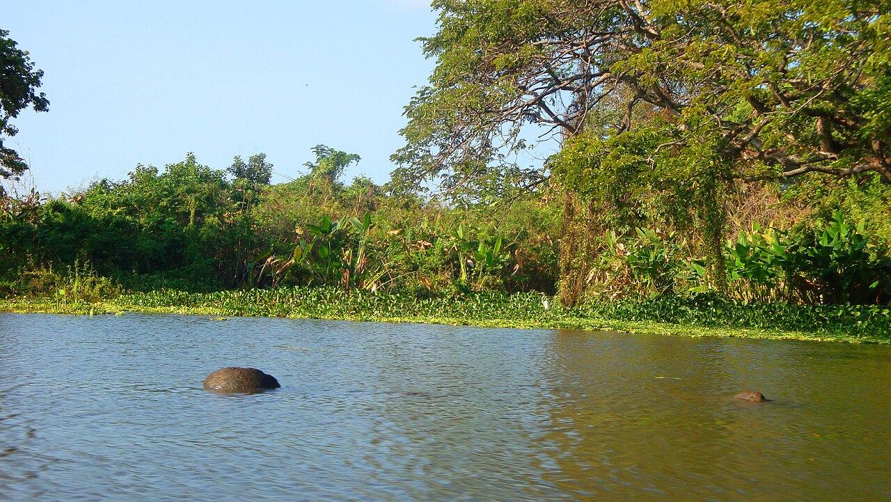 Small green islands with houses in Lake Nicaragua