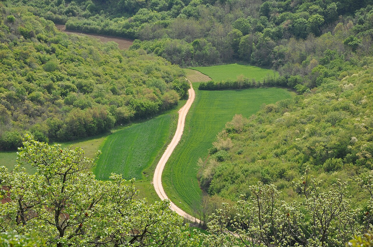 Long narrow fjord with forested slopes in Istria