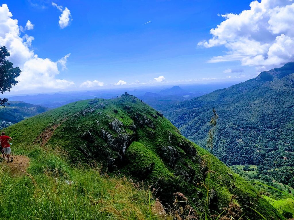 Little Adam's Peak near Ella Sri Lanka with tea fields