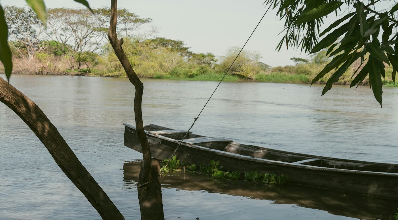 Small boat tied to a tree in calm water