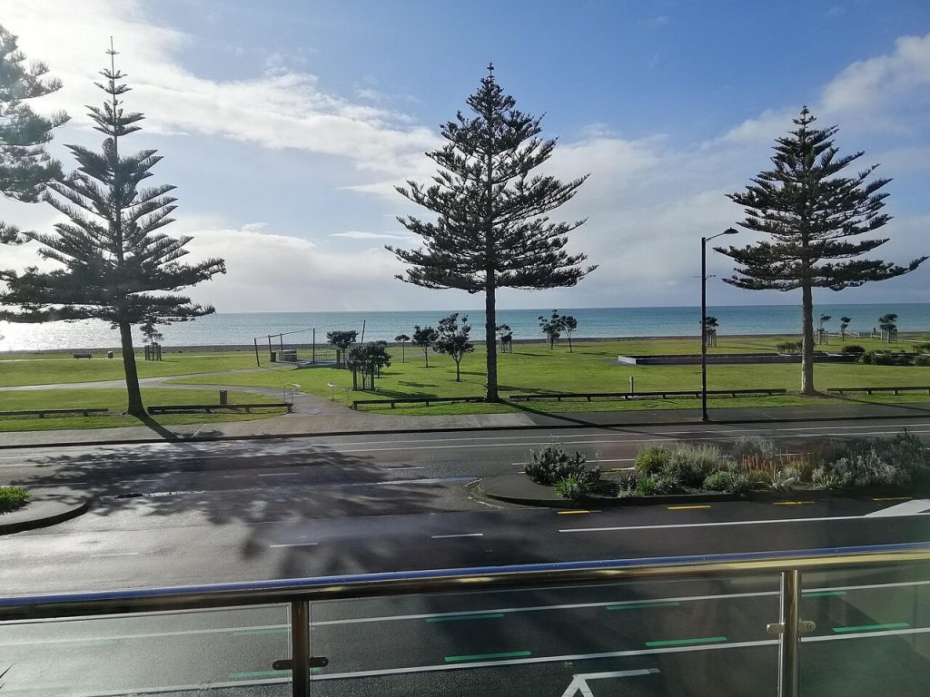 Norfolk pines and lawns along Marine Parade in Napier New Zealand