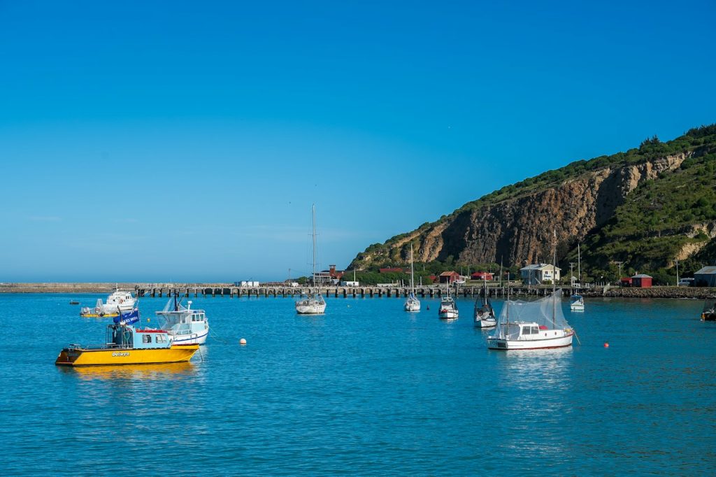 Oamaru New Zealand harbour with boats