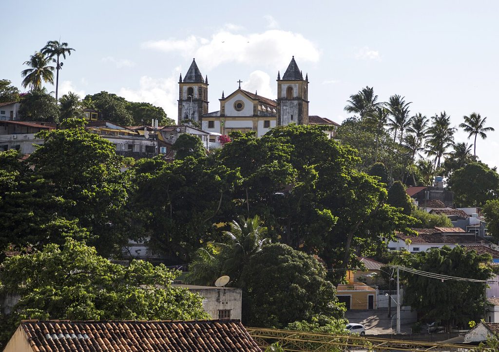 Church towers rising above tropical trees in the upper town
