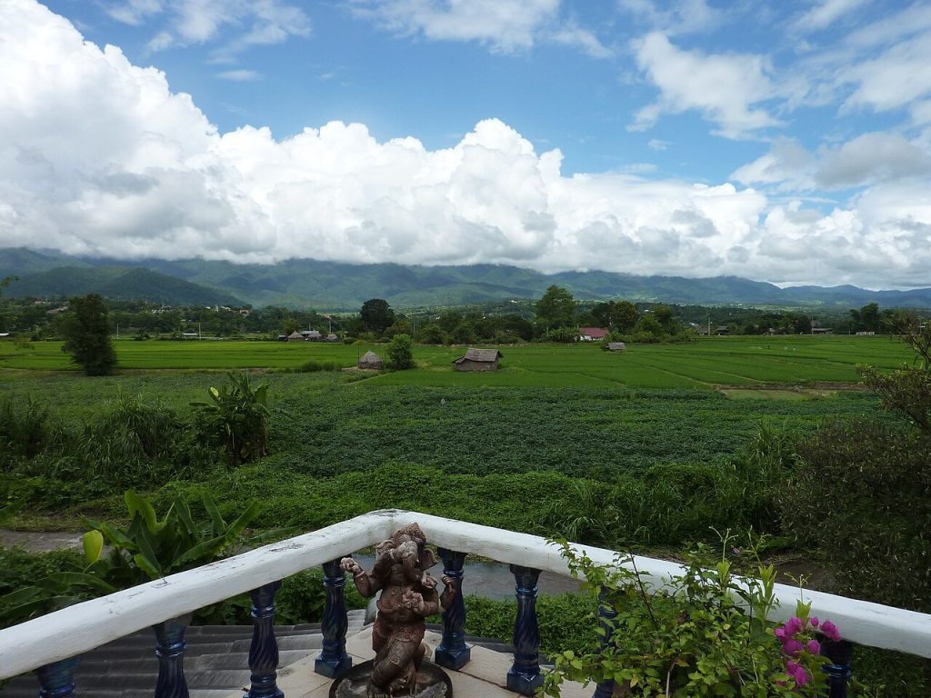 Rice fields in the valley outside town