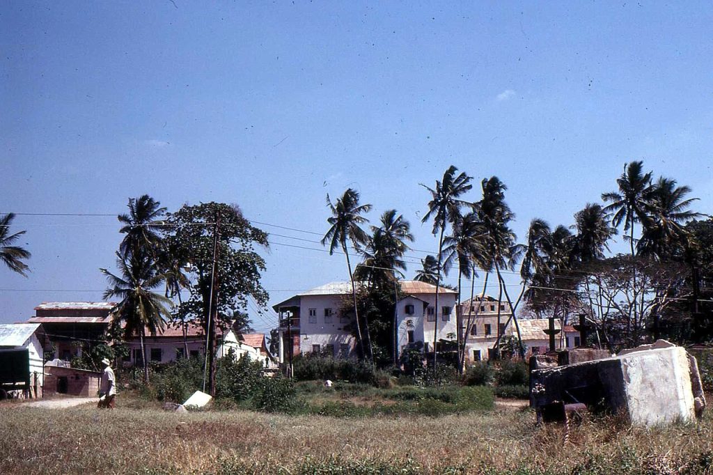 Palm trees along a street in a Swahili coast town