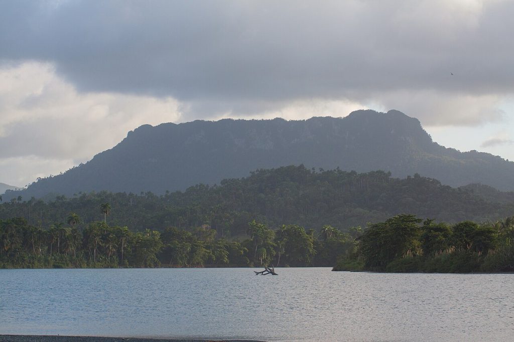 The Toa River valley with El Yunque on the horizon