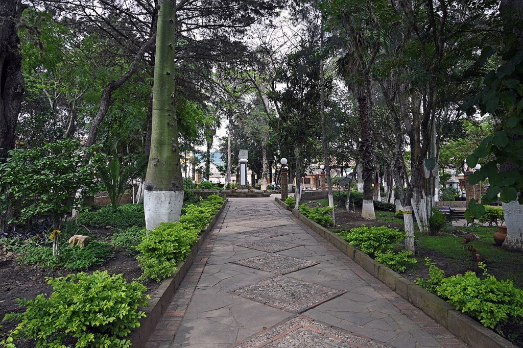 A leafy main square with trees and a path
